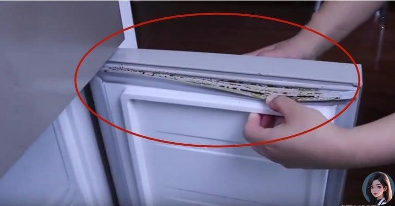 Gioăng tủ lạnh bị mốc đen, lấy ngay thứ này để lau, chỉ 5 phút là sạch bong