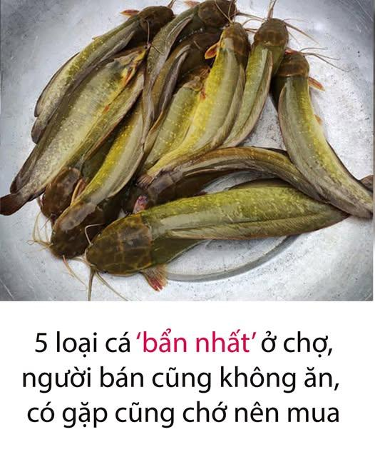 5 loại cá ‘b:ẩn nhất’ ở chợ, chứa nhiều kim loại nặng và k:ý s:in:h tr:ù:n:g, người bán cũng không ăn, có gặp cũng chớ nên m:ua