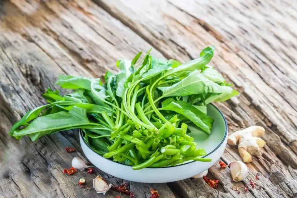 Loại rau giải nhiệt mùa hè là “th:uốc làm sạch đường ruột”, giúp hạ đường huyết, tốt đủ đường: Chợ Việt bán vừa nhiều vừa rẻ